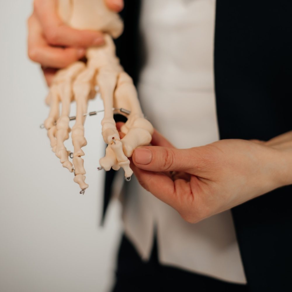 presentation of human foot with drawing of bones on the skin, and model of foot - comparison